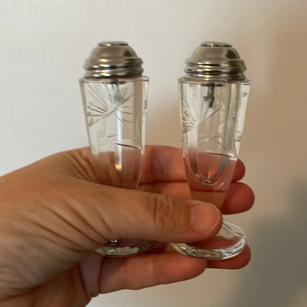 Vintage Reiner etched glass salt and pepper shakers. Silver self closing lids